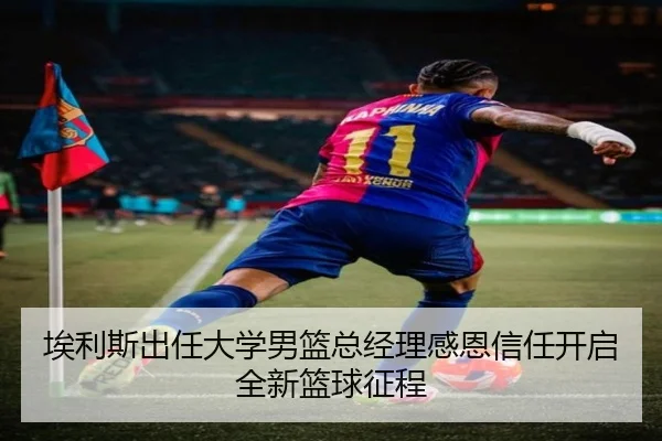 埃利斯出任大学男篮总经理感恩信任开启全新篮球征程