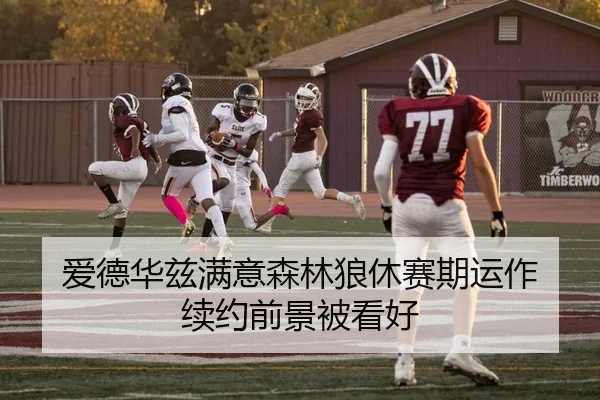 爱德华兹满意森林狼休赛期运作 续约前景被看好